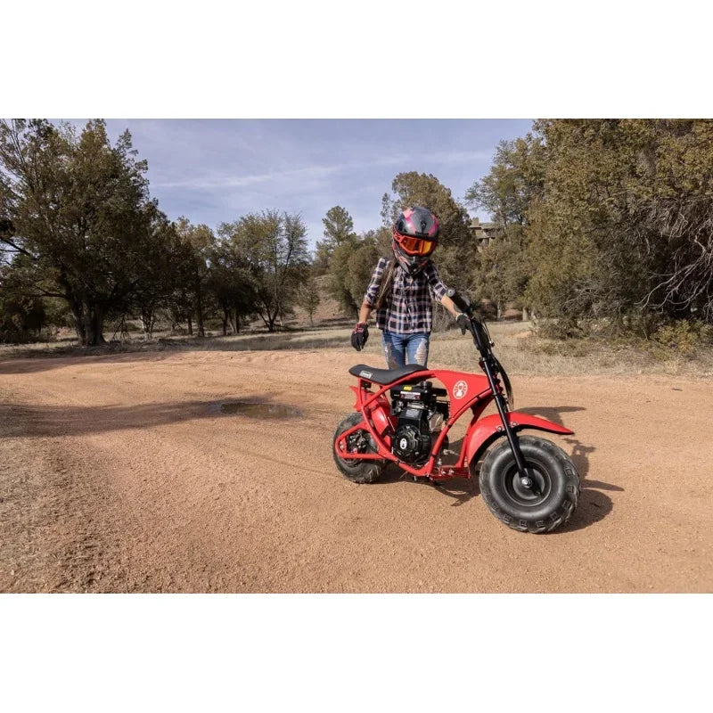 Gas-Powered Mini Bike